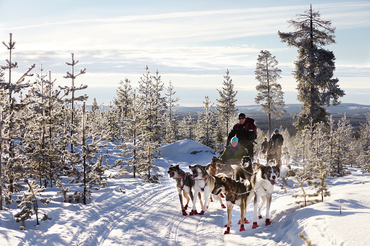 Rovaniemi, Evasione d'Inverno 2023 2024