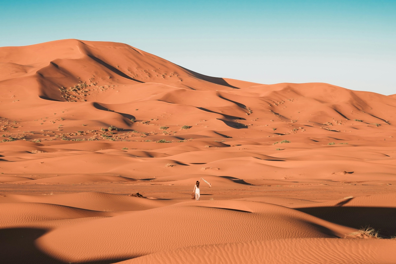 Grande Sud e Kasbah 2025