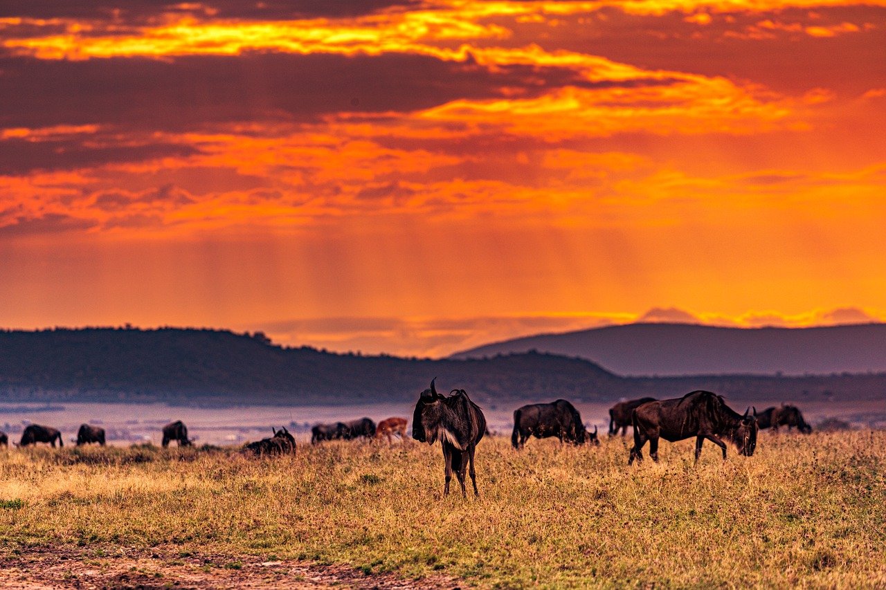 Il Cuore della Tanzania