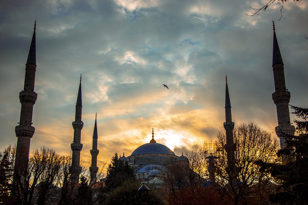 Tour Kervansaray 2025