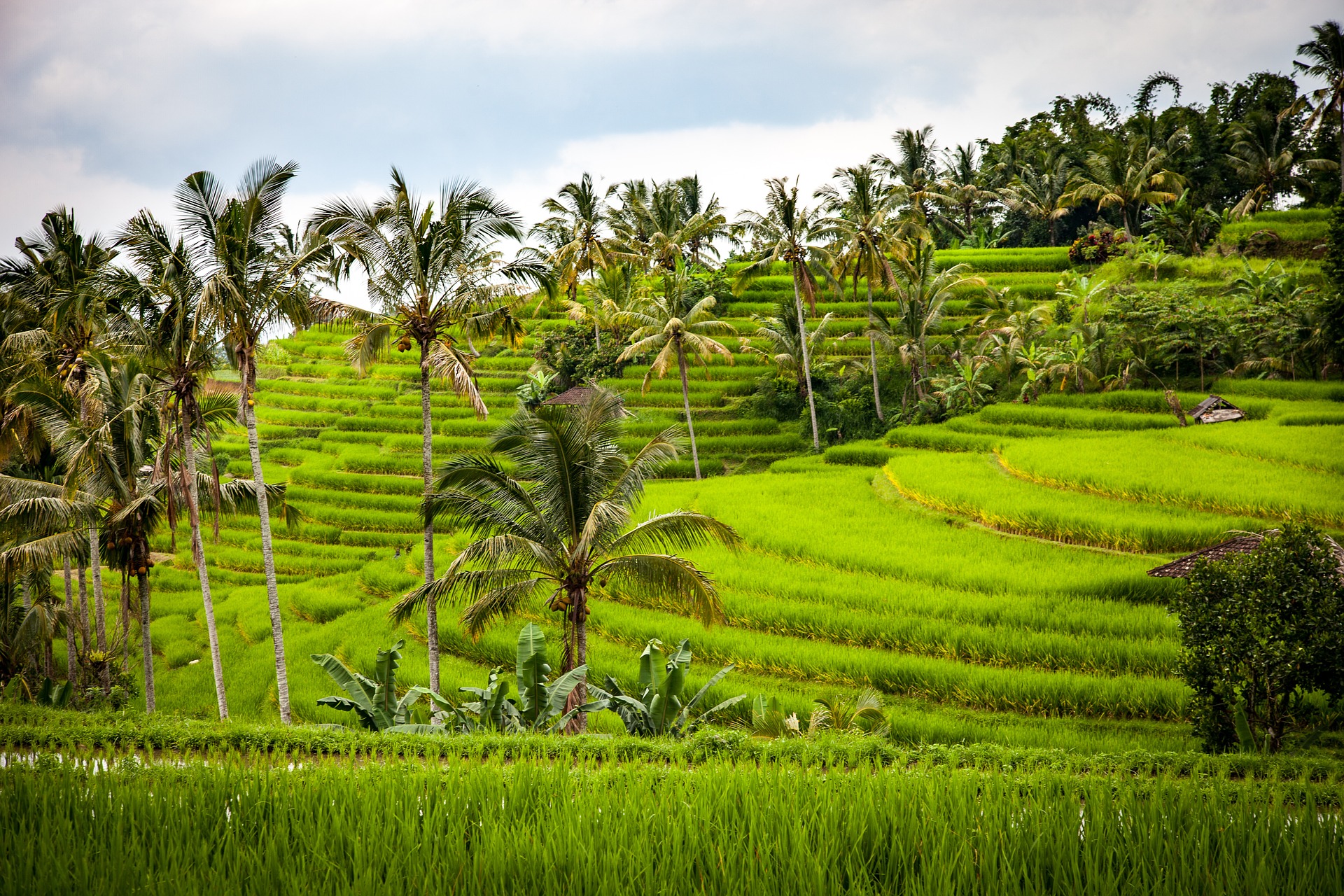 Bali - Indonesia